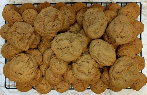 Sweet Potato Cookies 15