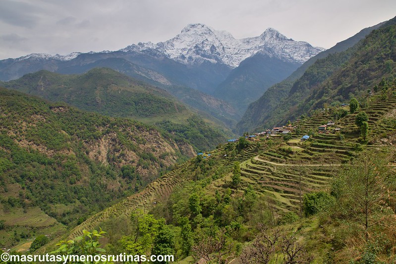 Trek ABC. De Jhinu (1750 m) a Pothana (2000 m) - NEPAL 2016. Trek al Annapurna Sanctuary (ABC) (21)