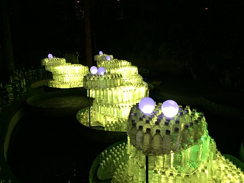 Zoo lights