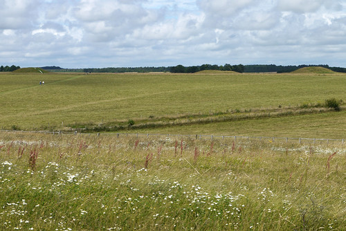 Stonehenge Landscape