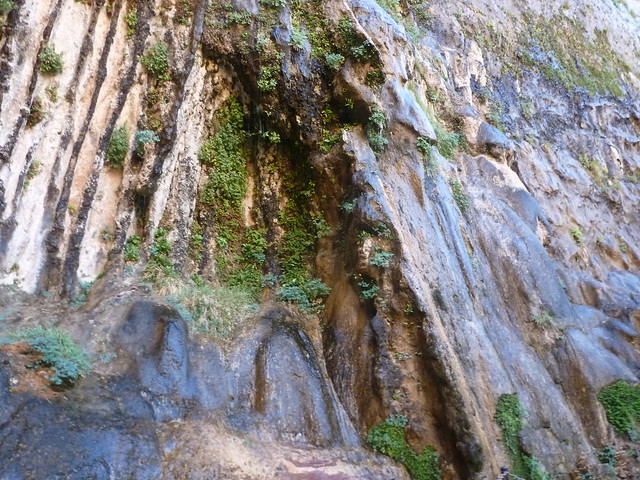 ZION N.P Weeping Rock. Emerald Pools. Canyon Overlook. VALLEY OF THE FIRE - En Ruta por los Parques de la Costa Oeste de Estados Unidos (4)
