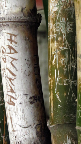 Names carved on bamboo in Puerto Vallarta, Mexico