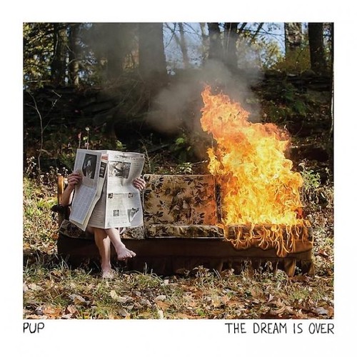 pup-dream-2