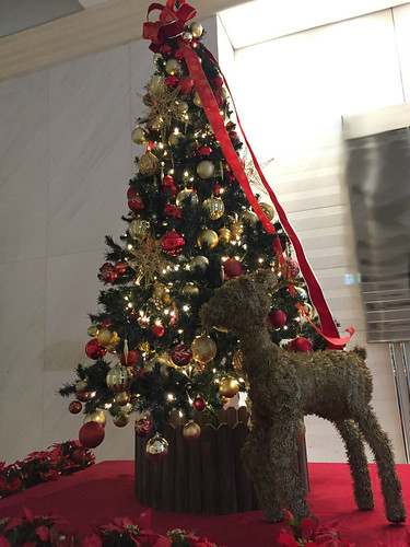 Christmas trees in Tokyo 2016