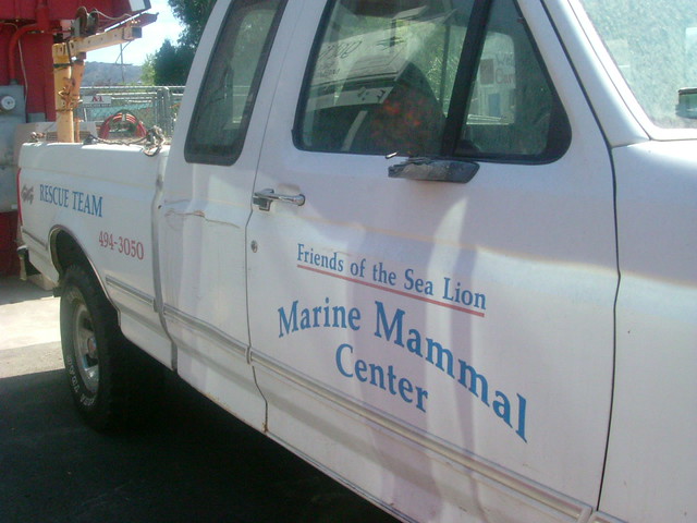 Marin Manmal Center (2007)