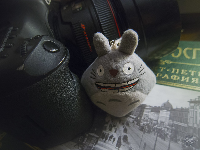 Day #356: totoro supposes that the camera is a great tool for any researcher