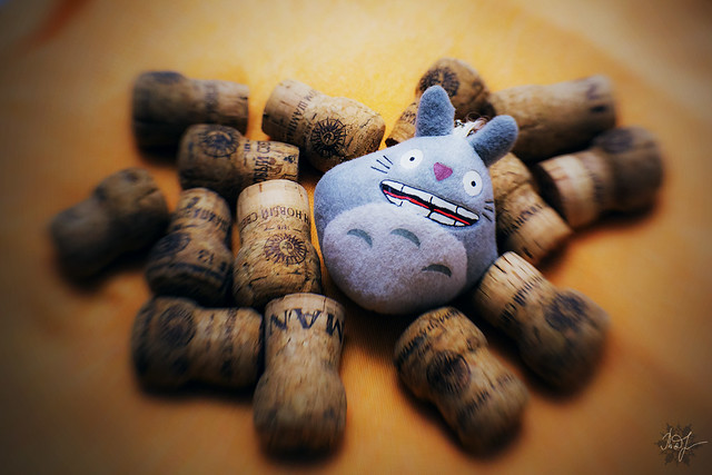 Day #352: totoro likes to have fun