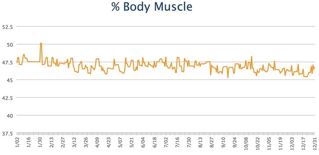 Body muscle