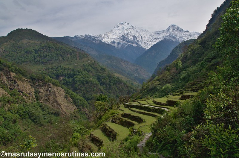 Trek ABC. De Jhinu (1750 m) a Pothana (2000 m) - NEPAL 2016. Trek al Annapurna Sanctuary (ABC) (13)