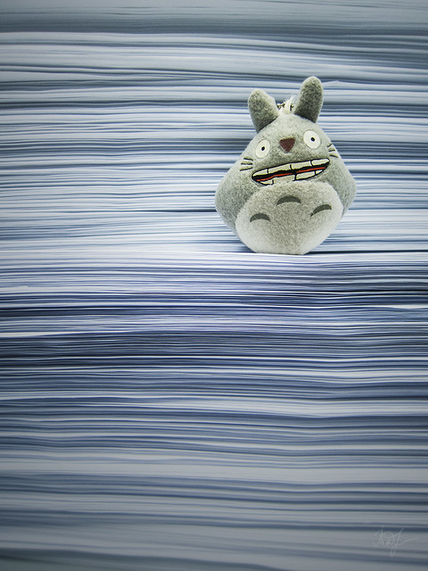 Day #342: totoro supposes that the paper is really can be tolerant to anything