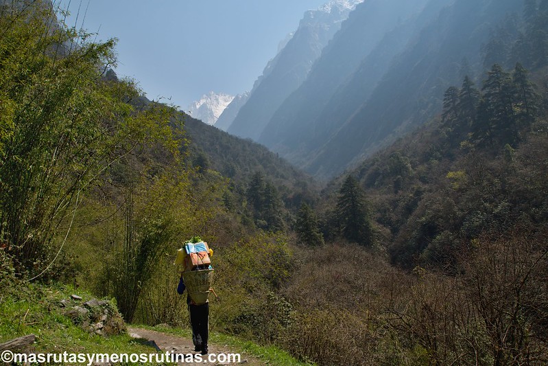 NEPAL 2016. Trek al Annapurna Sanctuary (ABC) - Blogs de Nepal - Trek ABC. De Sinuwa (2320 m) a Deurali (3150 m) (5)