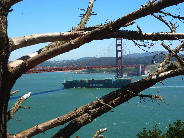 Caminando por Golden Gate, Presidio, Fisherman's Wharf. SAN FRANCISCO - En Ruta por los Parques de la Costa Oeste de Estados Unidos (34)