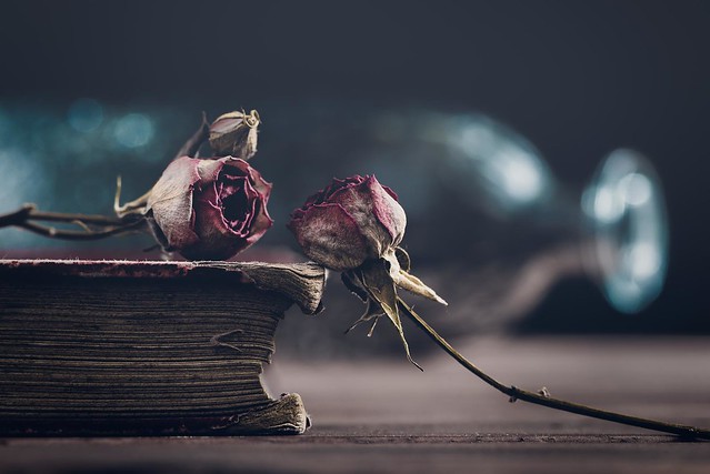 Old book and dried roses