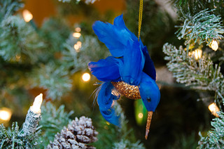 Wright Christmas Ornaments-001