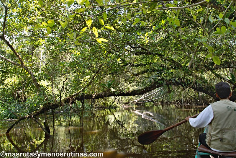 Tingana. Navegando en canoa entre melodías y aromas - Por el norte de PERÚ. De los glaciares a la selva (10)