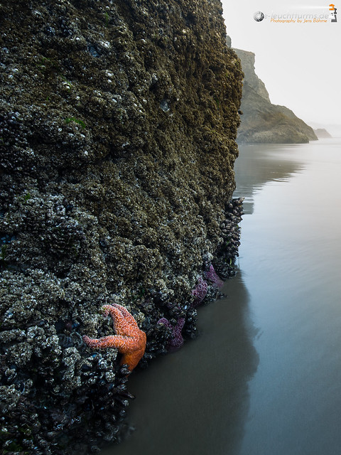 While low tide