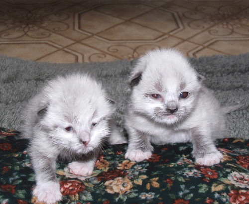 charlene (right) and her brother (left)