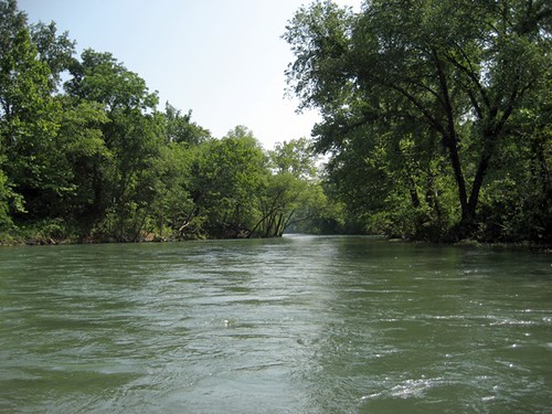 The Eleven Point River, June 2011