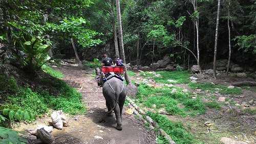 Koh Samui namuang waterfall 1 elephant trekking