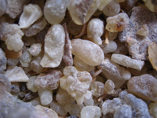 IMG_1772; Nuggets of ordinary grade frankincense resin.