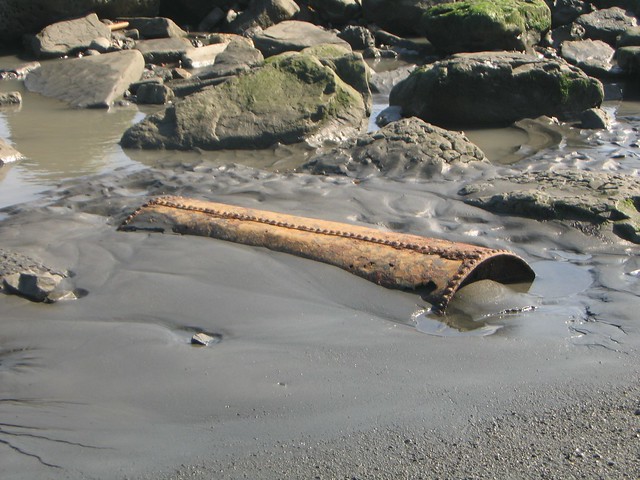Fossil beach