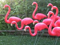 plastic pink flamingos bulk