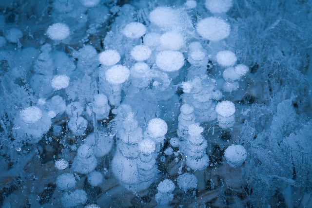 Bubbles and Lace, Abraham Lake, Alberta, Canada
