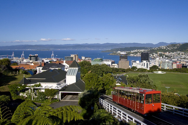 Wellington from above