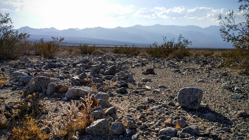 EEUU: Death Valley, Yosemite, Bryce, Zion, Antelope, El Gran Cañon - Blogs de USA - Día 1. 2016.09.10. El valle de la Muerte (6)