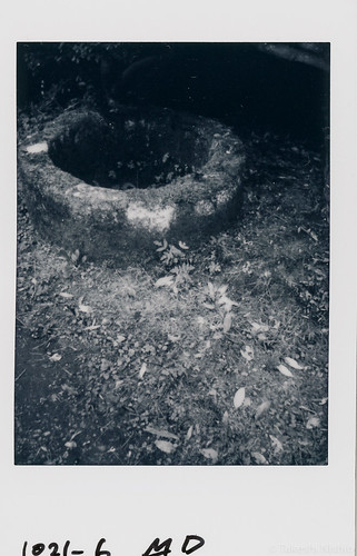 the well