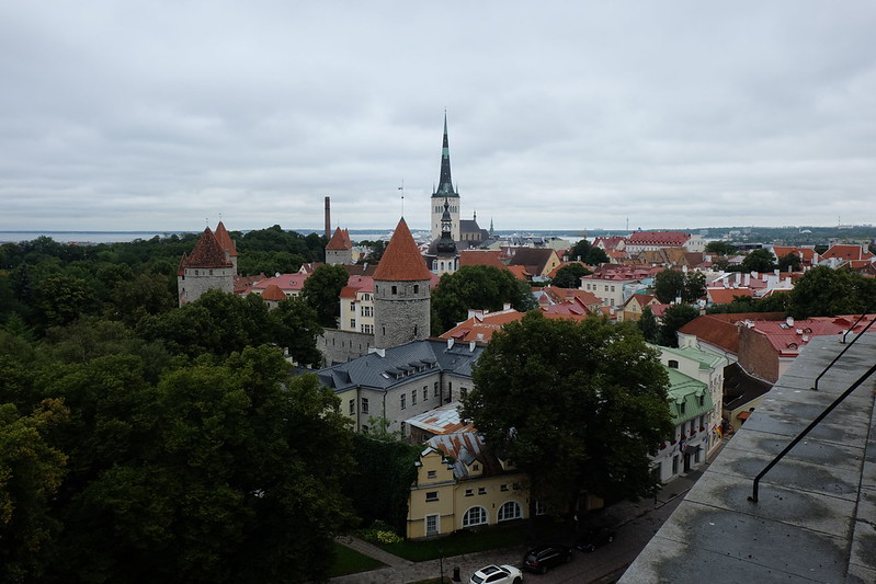 Estonia & Letonia & Lituania agosto/sep 2016 - Blogs de Rusia y Ex URSS - Día 6 - Tallin: Casco antiguo (21)