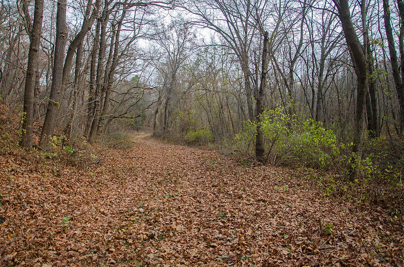 The Path to the Bluff