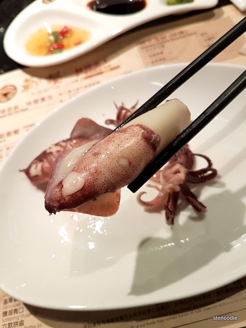 Vietnamese Cuttlefish