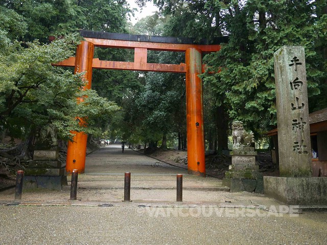 Nara Park torii