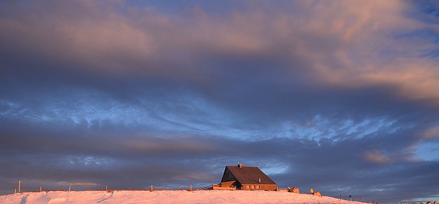 Le Hohneck (Alt : 1363m)  -  (EXPLORE)