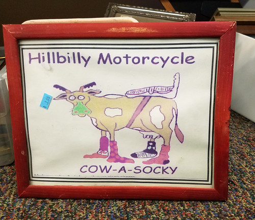 cow a socky