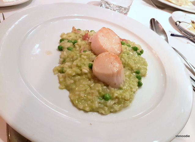  Seared Sea Scallops on a Bed of Pea & Parmigiano Risotto Accented with Speck