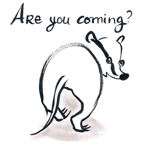 Are you coming? #badger #badgerlog #badgerlove #parenting #areyoucoming