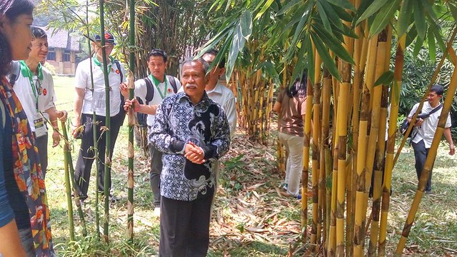 ASEAN Regional Workshop on Bamboo Utilization