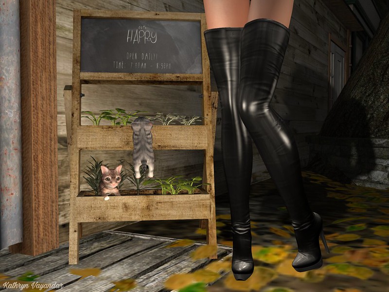 Kittens 'n' boots