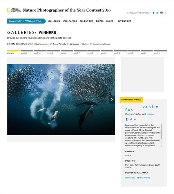 National Geographic Nature Photographer of the Year contest 2016