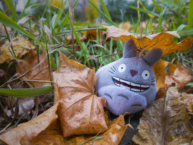 Day #265: totoro knows that hopeless situations are not exist
