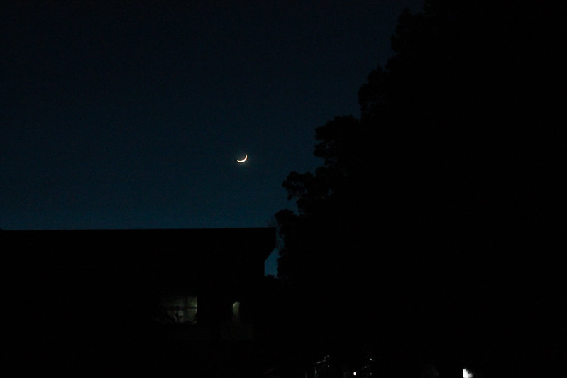 Crescent moon at 4am