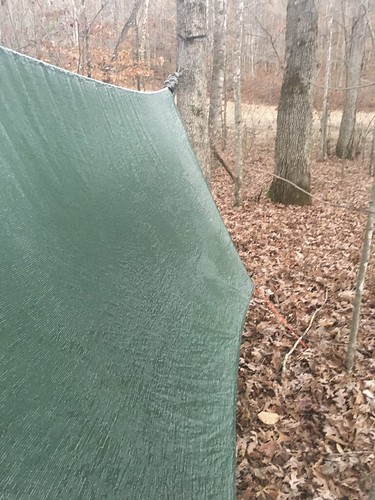 Frost on my tarp