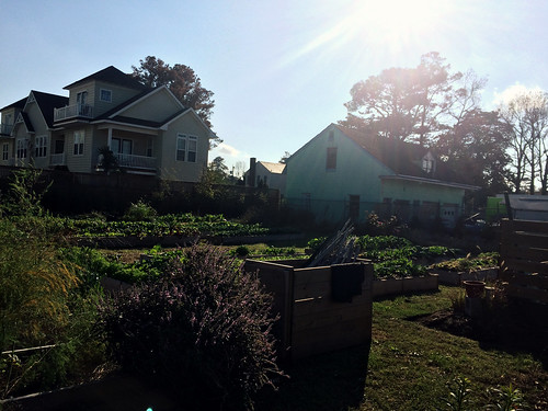 Commune Esoteric Garden (November 6 2015)