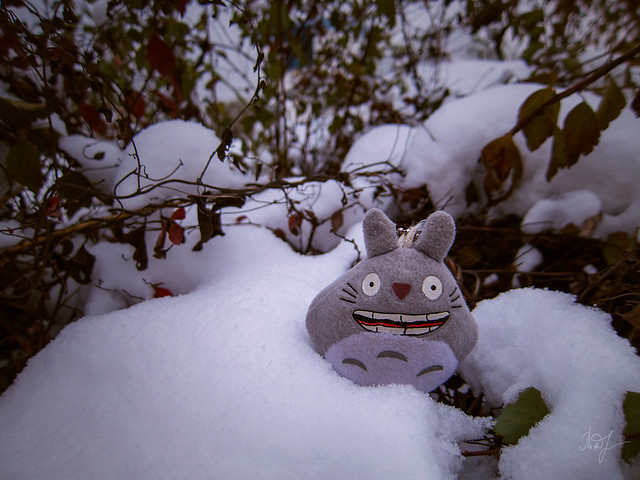 Day #308: totoro hopes that the snow will lie until the New year
