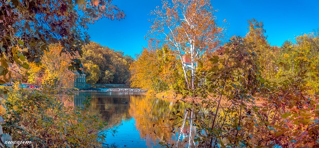 2016 Autumn 161 Brandywine Creek, DE, USA