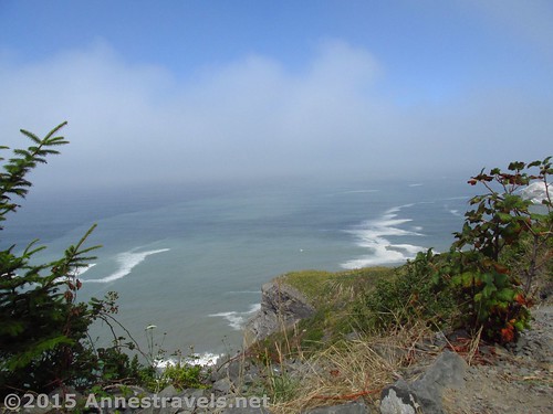 Pacific Ocean Views from near High Bluff Overlook in Redwood National Park, California