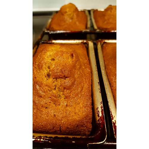 New recipe pumpkin loaves at caffe d'bolla! 🍂🍞❤