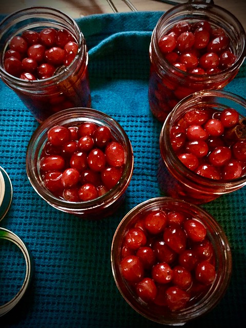 Putting Up: Pickled Cranberries